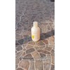 Shampoo Pediátrico hidratante Babé Costra Láctea Cuidado Diario 200ml