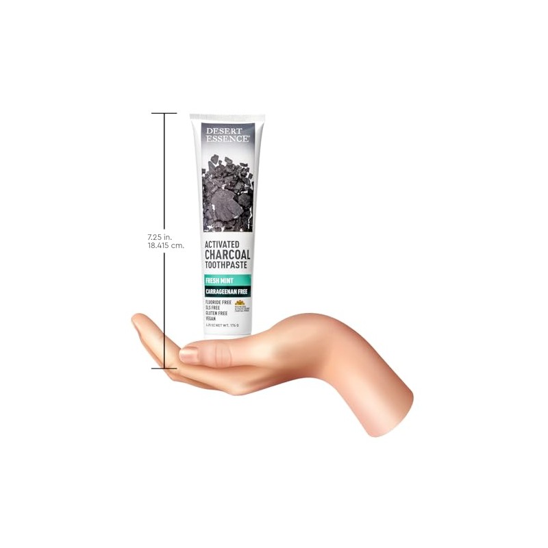 Desert Essence - Carrageenan Free Activated Charcoal Toothpaste Fresh Mint