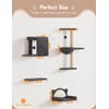 5-in-1 Cat Wall Shelves, Solid Wood & Velvet & Sisal