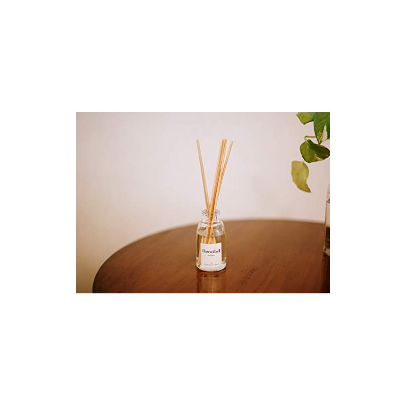 [ BREATHE ] Ambientador