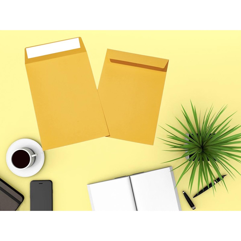 Packpal Manilla Envelopes 6x9 100Pack Brown Catalog Envelopes Self Sealling