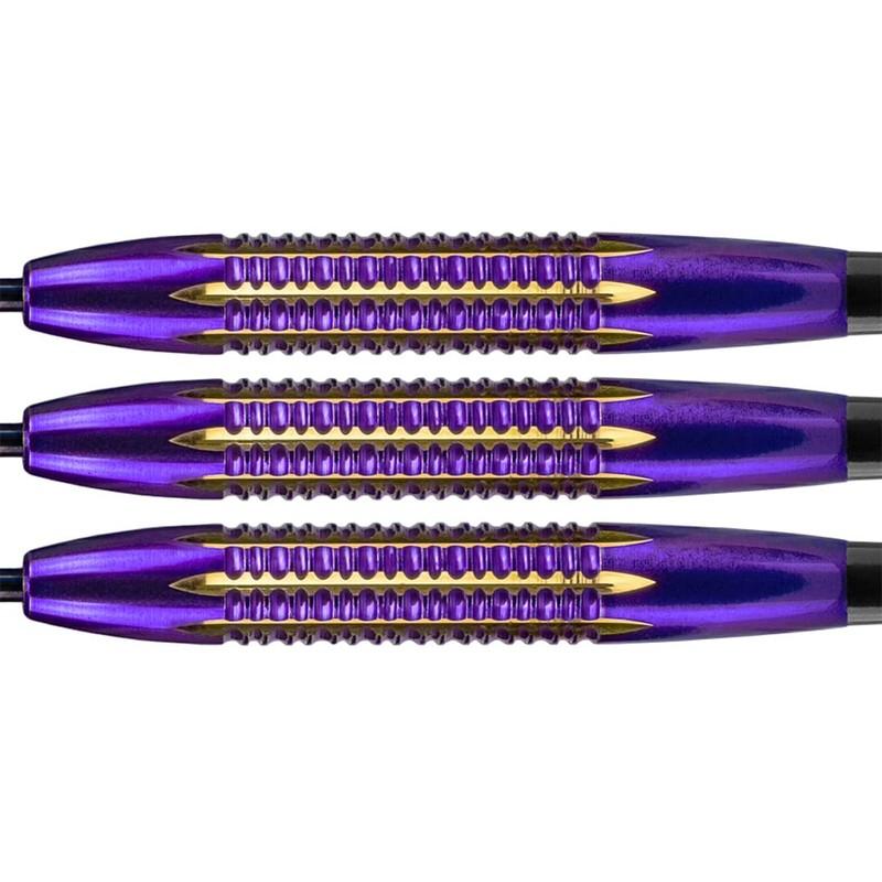 Bull's NL Steel Darts Dirk Van Duijvenbode Aubergenius Brass Steeltip