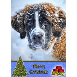 St Bernard Dog Christmas Card 'Merry Christmas' - Special Animal Xmas Card for Him Her from Pets Kids