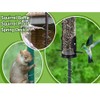 Metal Pole Squirrel Spring,Squirrel Baffle Metal Spring Device Squirrel Barrier
