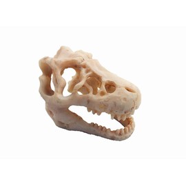 Hewnda Aquarium Decoration Skeleton Hole Resin Artificial Dinosaur Skull Skeleton Ornament - Fish Tank Small Skull Aquarium Decorations cave Landscape pet Reptile House