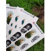 Rainbow Decal Nails Sticker Nails Tatto San Juditas Tadeo 6
