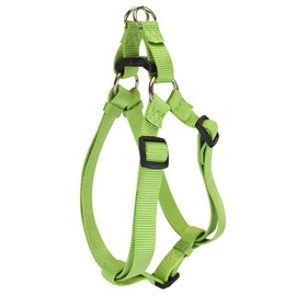 Hamilton Adjustable No Pull Step in Dog Harness, Small 5/8" x 12-20" for Small Breed Dogs, Lime Green