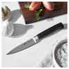 Zwilling 31070-101-0 Four Star Coltellino, 10 cm