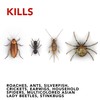 Raid Ant & Roach Killer Spray For Listed Bugs, Keeps
