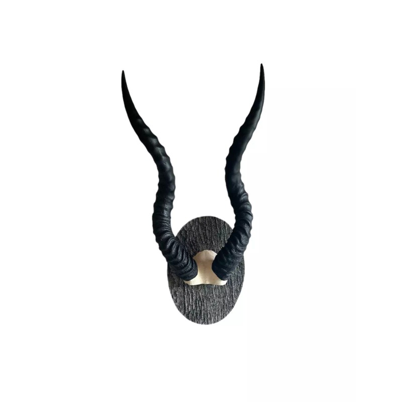 Blackbuck horns on panel replica Taxidermy skulls horns skulls