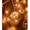 WFGGEH Flower String Lights, 10ft 20 LED USB Powered Cherry