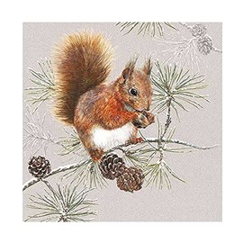 Napkin Squirrel in Winter Pack of 20