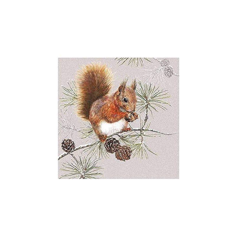Napkin Squirrel in Winter Pack of 20