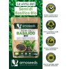 Semi di Basilico Bio 500G | Sazietà, Rinfrescanti, Ricchi di