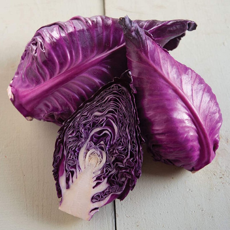CEMEHA SEEDS - Seeds Red Kalibos Cabbage Giant Non GMO