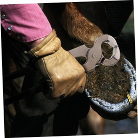 WOONEKY Hoof Trimming Pliers Hoof Cutter Portable Horse Shoeing Tool Cattle Hoof Scissor Sheep Hoof Trimmer Horseshoe Repairing Scissor Hoof Trimming Tool Goat Hoof Trimmers Hoof Nippers