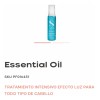 12 Ampolletas Capilares (13 mL c/u) Alfaparf Milano Semi Di