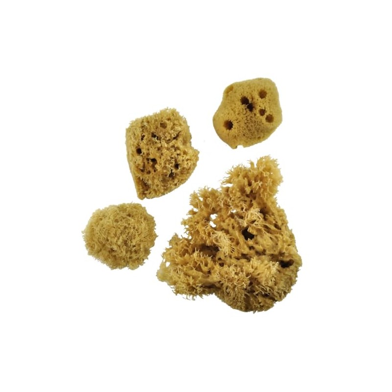 Royal & Langnickel Sea Silk Sponges Pack of 4