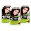 Garnier TRIPLE Nutrisse Permanent Hair Dye - 3 Darkest Brown