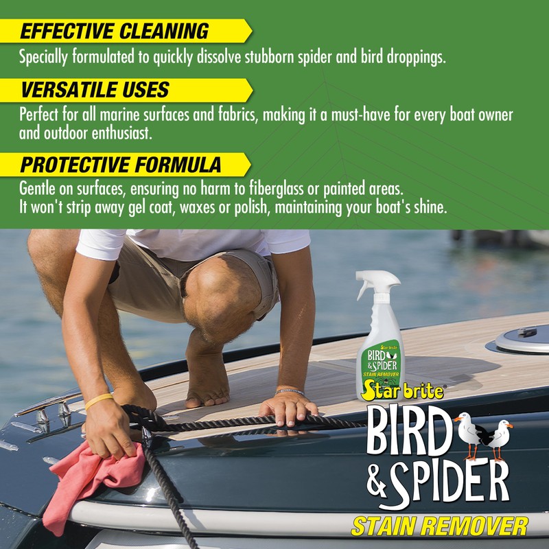 STAR BRITE Spider & Bird Stain Remover - 22 OZ