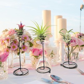 Cocoarm 10 Stück Spirale Luftpflanzenständer, Luftpflanzenhalter Luftpflanzen-Displayständer 190mm Schwarz Eisen Deko für Balkon Garten Terrasse Home Office Schreibtisch Hochzeit mit