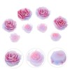OHPHCALL Rose Ornaments Nail Charms 3d Acrylic Flowers for Nail