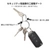 NITEIZE Dual Pass Keyring Stainless Silver Keychain Carabiner Hook Stainless