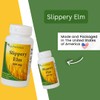 Slippery Elm: 400 Mg, 100 Capsules GI Coat Rachel's Tea