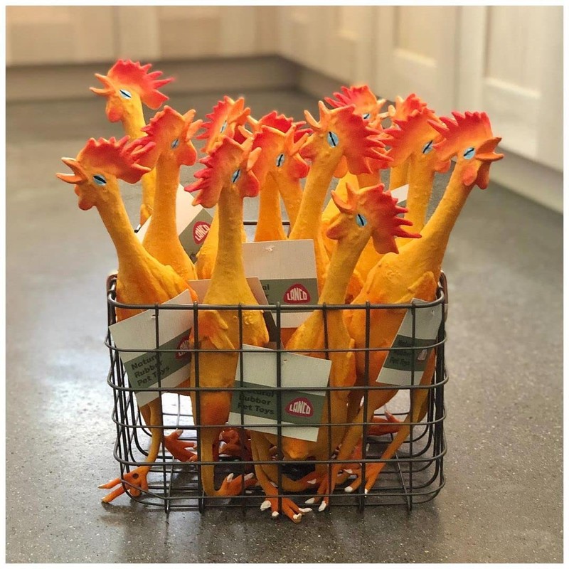 Lanco 8424678024083 Funny Chicken XL 100% Natural Rubber