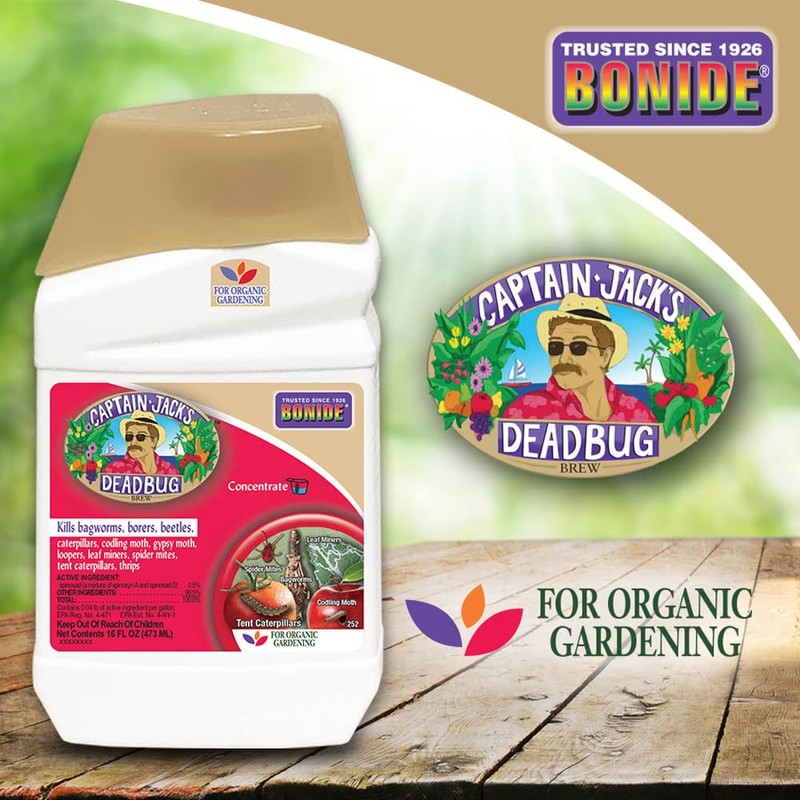Bonide Captain Jack's Deadbug Brew, 16 oz Concentrate Outdoor Insecticide