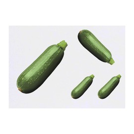 4 x 'Fresh Courgette' Temporary Tattoos - Water Resistant, Skin-Safe, Non-Toxic Transfers, Mixed Sizes (TO00085018)