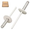 SKIR'CO (10 pcs) Large Flange Aluminium Blind Rivets 4.8 x
