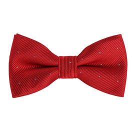 Alizeal Boys Pre-tied Bow Tie Polka Dot Fancy Plain Adjustable Party Birthday Kids Bow Tie, Burgundy Dot