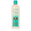 SoftSheen-Carson Optimum Salon Haircare Amla Legend Moisture Remedy Conditioner, 13.5