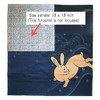 [LL/35inc] Furoshiki- Japanese Wrapping Cloth (Rabbit of Blessings)