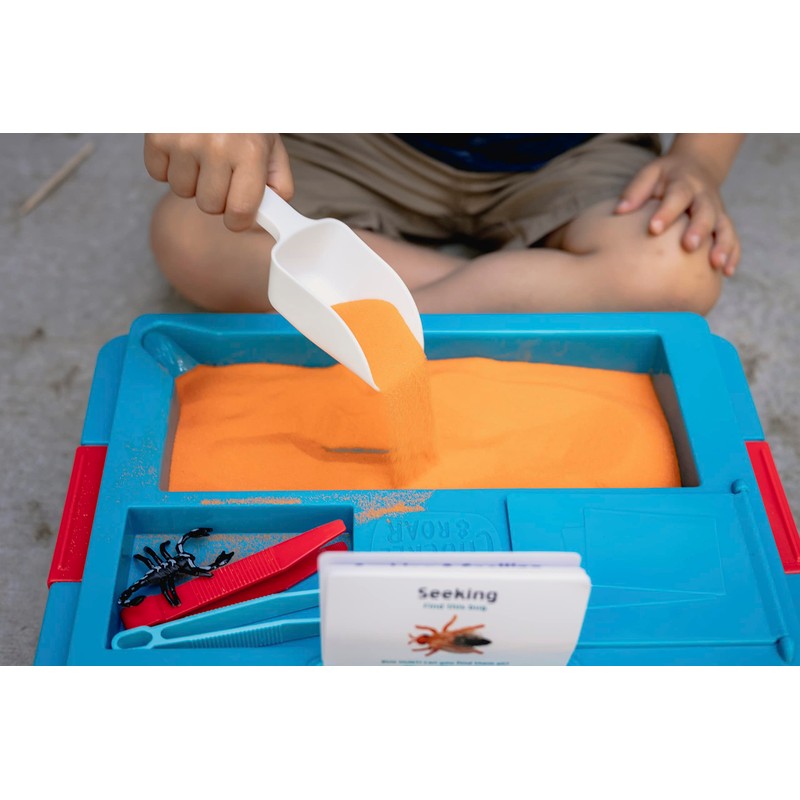 Chuckle & Roar - Sensory Bin - Tactile Learning for