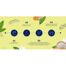 Zirkulin White Curcuma 30 Capsules - For Gastrointestinal Well- Supports the Immune System - Premium Turmeric Dietary Supplement with Biotin, Niacin, Ginger & Vitamin C & D - High Bioavailability