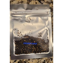 Emmivans Nigerian Green Leaf Seeds , Efo Tete, Shoko , Amaranth , Efo Yanrin ,1oz (28g)