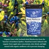 Eden Organic Dried Blueberries, 4 oz Bag
