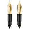Set of Hongdian D5 Fountain Pen Golden Nib (Extra Fine