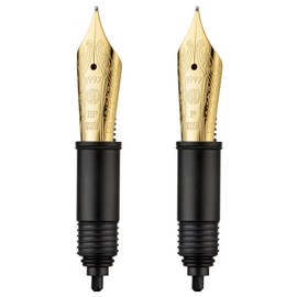 Set of Hongdian D5 Fountain Pen Golden Nib (Extra Fine & Fine), Compatible for Hongdian D5, D1, A6, N12 Replaced Nib Section