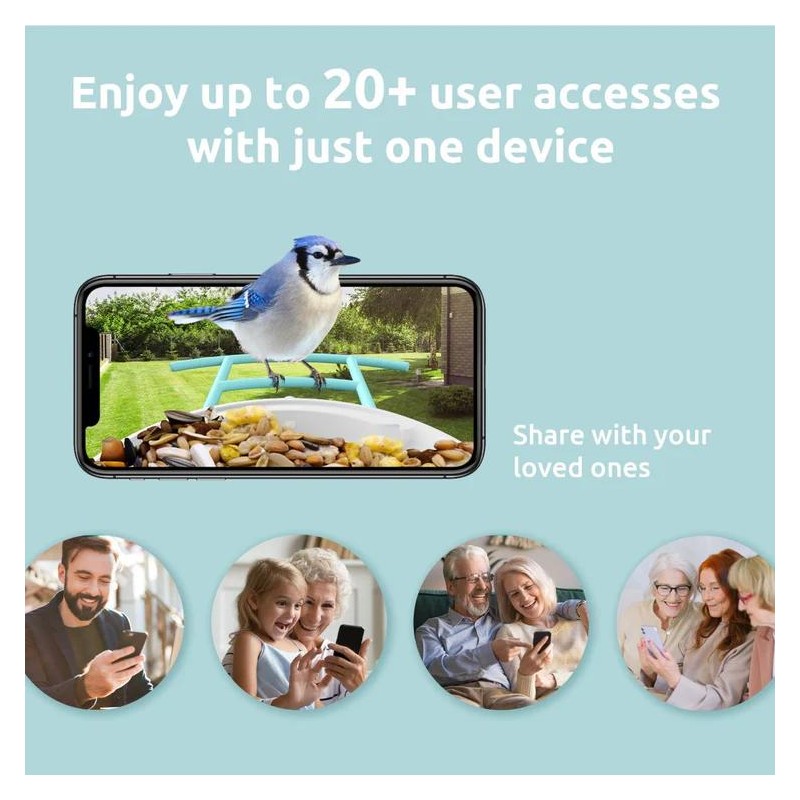 Birdfy Feeder with Solar Panel - Solar Powered Bird Feeder