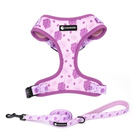 Dog Harness and Leash Set, Adjustable Dog Harness, Dog Leash, No Pull No Choke Puppy Harnesses for Walking Training for Small Medium Large Pet (Wines, XS(Chest 9.9-13.5", Neck 7.8-10.2"))