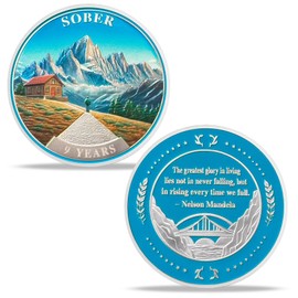 9 Year Sobriety Coin Gifts | Mountain Cabin AA Chip Medallion with Inspirational Quote | Narcotics Alcoholics Anonymous Anniversary Sobriety Gifts for Men Women in Recovery
