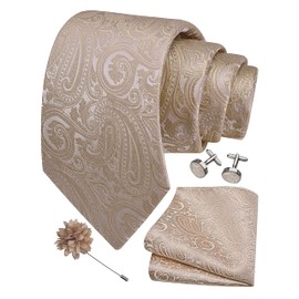 Gusleson Mens Champagne Tie for Wedding Beige Paisley Necktie Pocket Square Cufflinks and Lapel Pin Brooch Set (UK6103-25)