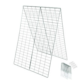 Coilyhill - Foldable Cucumber Trellis (34 x 48 Inches) - Perfect for Climbing Plant Support Frame Such As Peas, Squash, Vines or Any Climbing Plants -Complete with 8 Securing Pegs