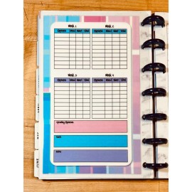 Handmade Monthly Budget Spending Tracker Dashboard Insert 4 use with MINI Happy Planner-