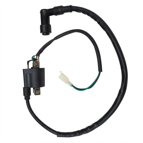 PCCMOTOR PIT BIKE IGNITION COIL WITH 2 WIRES COOLSTER H