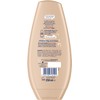 Schauma Schwarzkopf Farbschutz-Shampoo Color Glanz (1x 750 ml), Haarshampoo pflegt