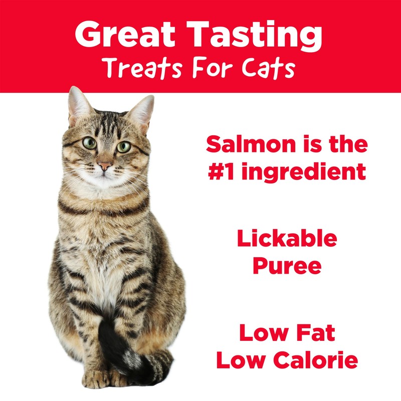 Country Kitchen Salmon Puree Lickable Cat Treats, Made with Real